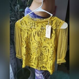 Lace Top With Back Zipper & Sheer Sleeves